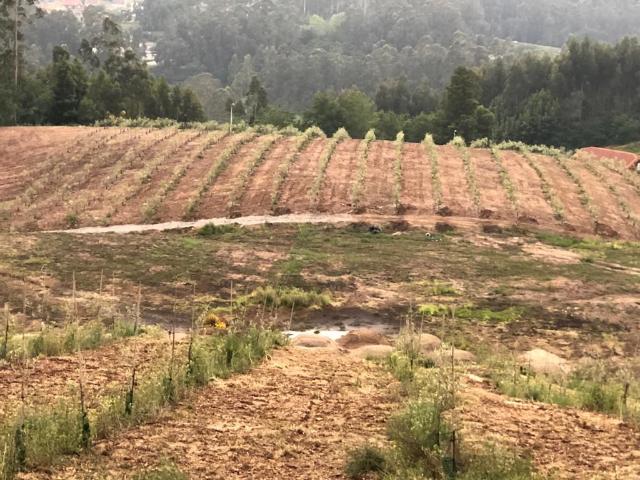 Terreno en venta en Casco Antigo, Pontevedra