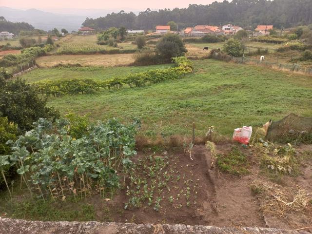 Terreno en venta en Ponte Caldelas, Pontevedra