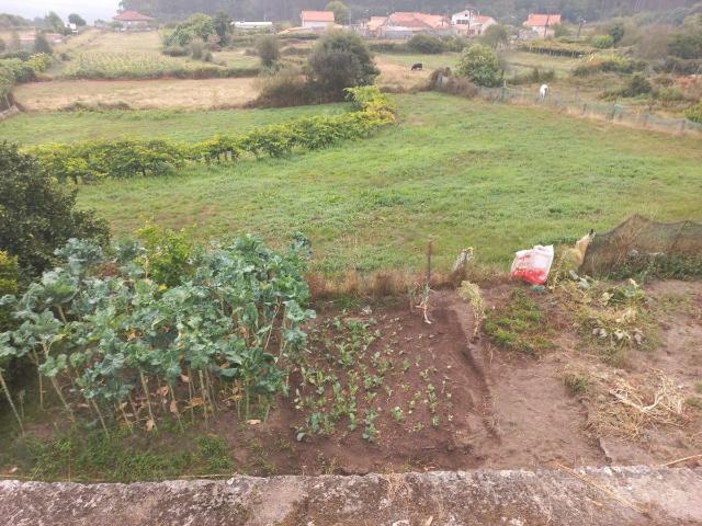 Terreno en venta en Ponte Caldelas, Pontevedra
