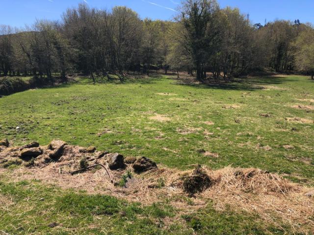 Terreno en venta en Cerdedo Cotobade, Tabeirós - Terra de Montes