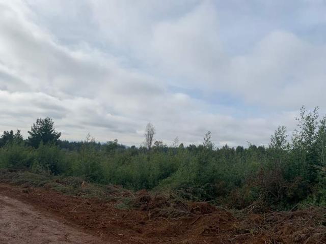 Parcela venta Remulcao, altos de machicura