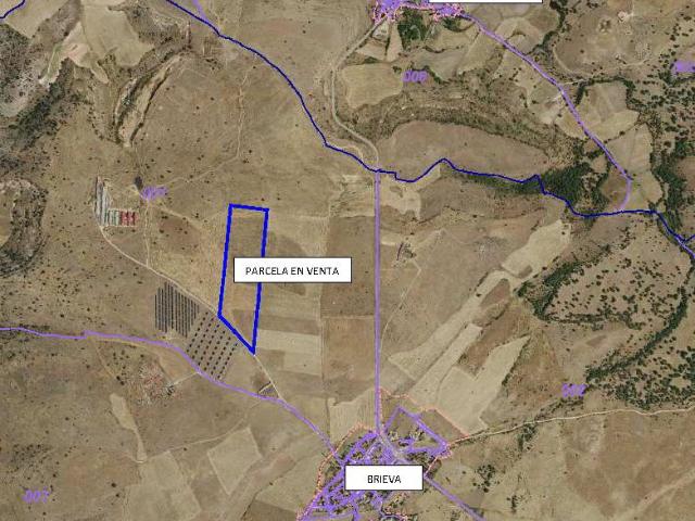 Terreno en venta en Sexmo de San Lorenzo, Brieva