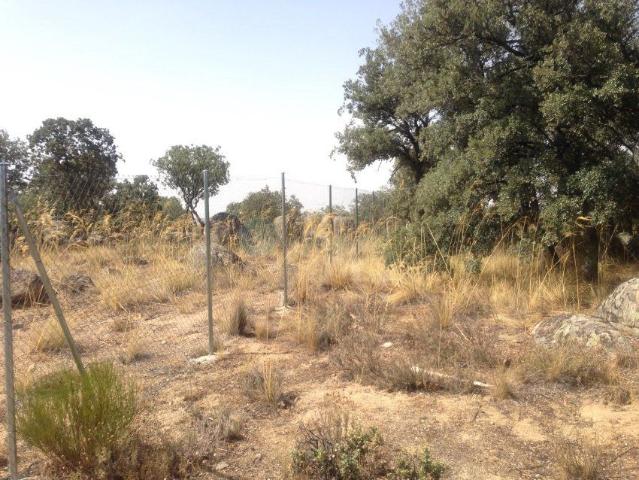Terreno en venta en Sexmo de San Martín, Ituero Y Lama