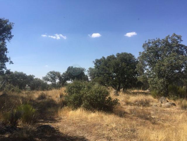 Terreno en venta en Sexmo de San Martín, Ituero Y Lama