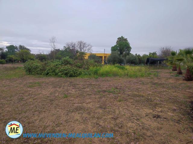 Terreno en venta en La Puebla De Cazalla, Andalucía