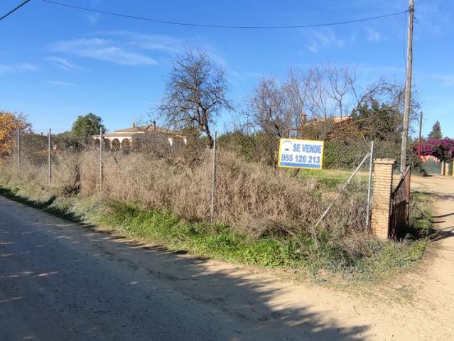 Terreno en venta en Sanlúcar La Mayor, Andalucía