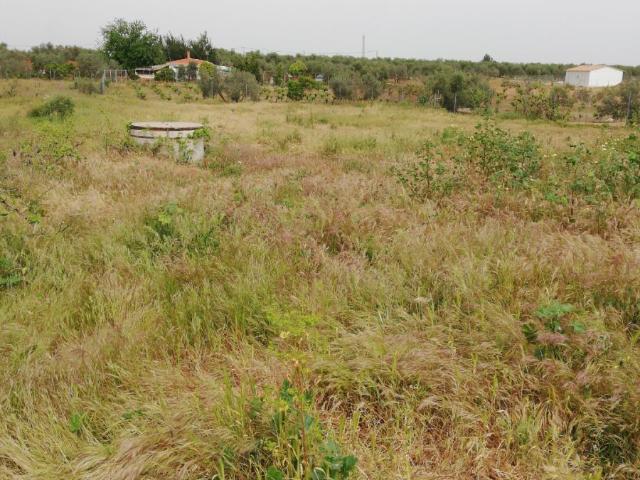 Terreno en venta en Marchena, Sevilla