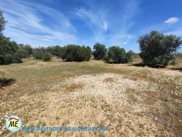 Terreno en venta en La Puebla De Cazalla, Andalucía