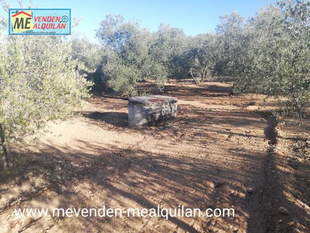 Terreno en venta en Marchena, Sevilla