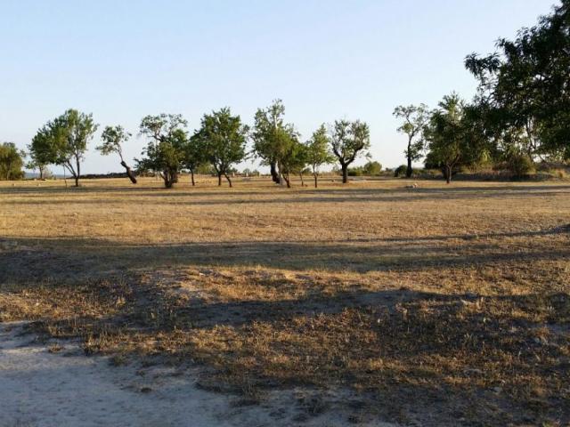 Terreno en venta en Sant Jaume Dels Domenys