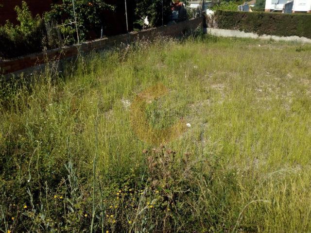 Terreno en venta en el Puig, Baix Penedès