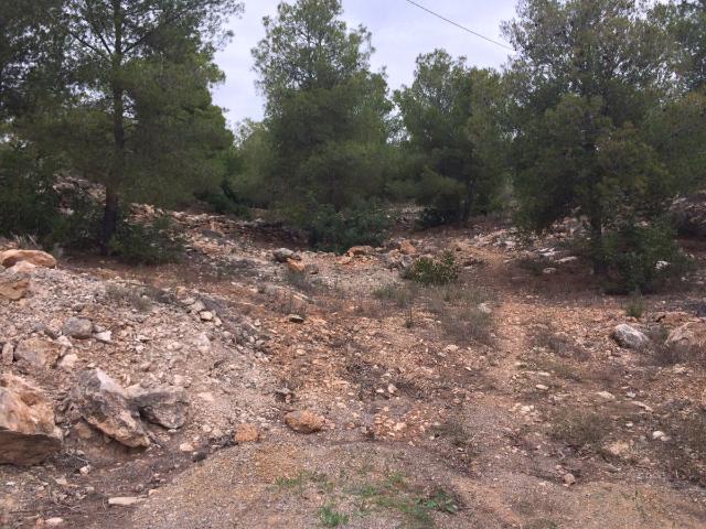 Terreno en venta en el Camp de Túria, Valencia
