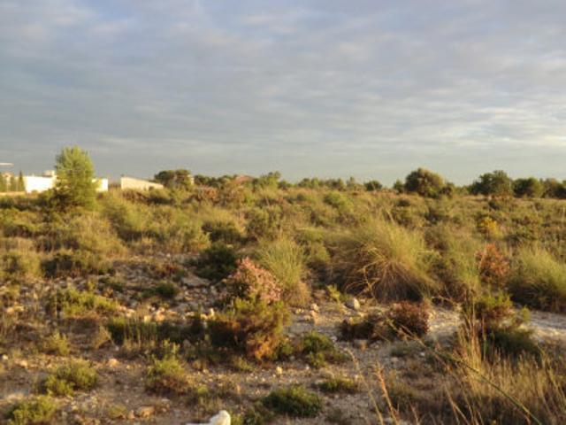 Terreno en venta en el Camp de Túria, Valencia