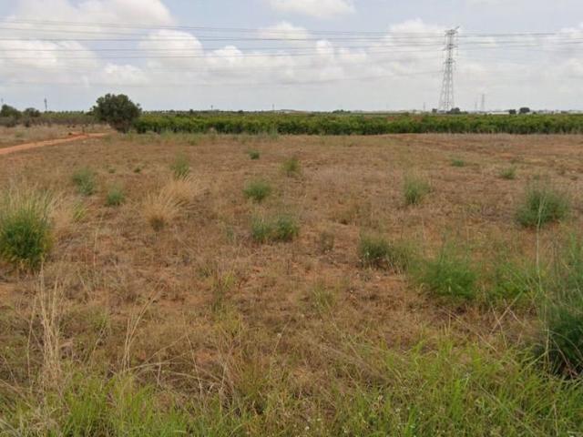 Terreno en venta en Mont Vedat, l'Horta Sud