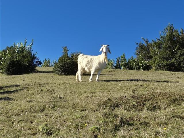 Terreno en venta en Valdivia, Los Ríos