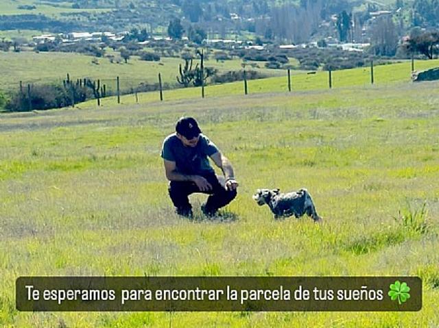 PARCELAS A 2 HORAS DE SANTIAGO CERCA DE PLAYAS