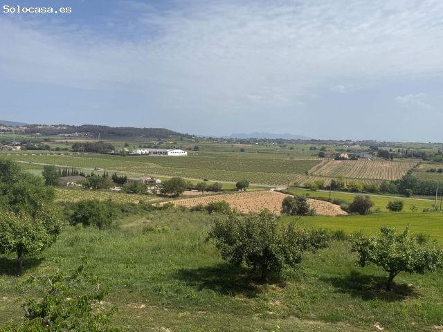 Local Comercial en venta en el Pla dels Cavalls, Alt Penedès