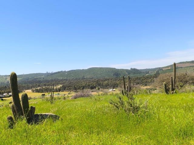 Terreno en venta en Monte Grande, Maule