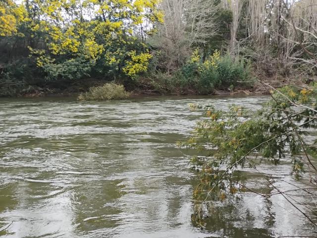 Terreno en venta en Diguillín, San Ignacio