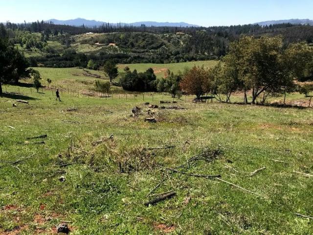 Terreno en venta en Concepción, Biobío
