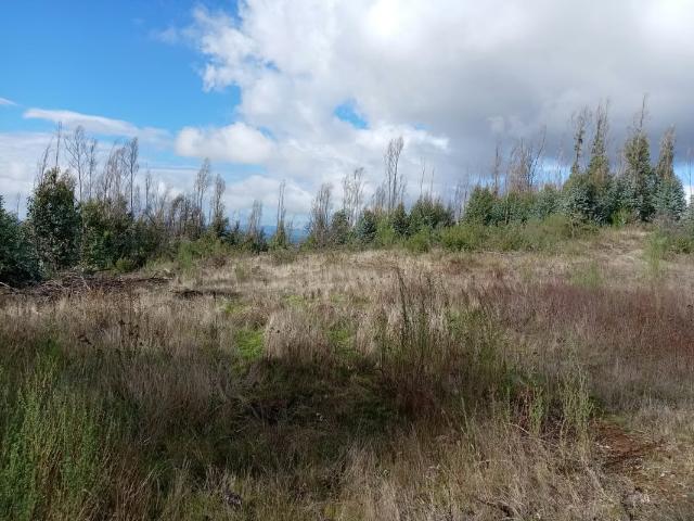 Terreno en venta en Concepción, Biobío