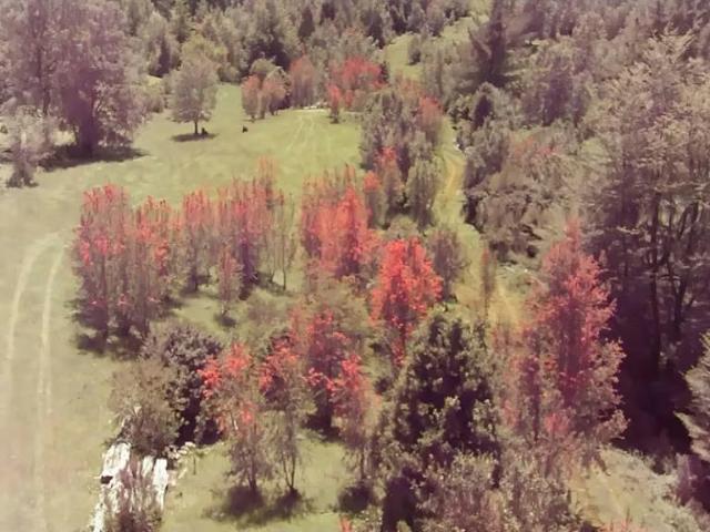 Terreno en venta en Cunco, La Araucanía
