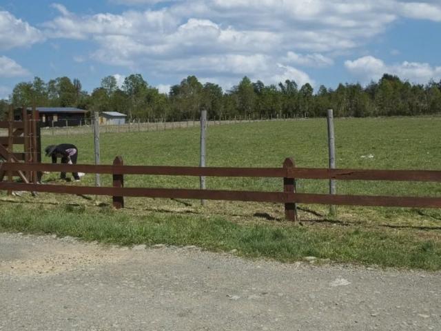 Terreno en venta en Choroico, Cunco