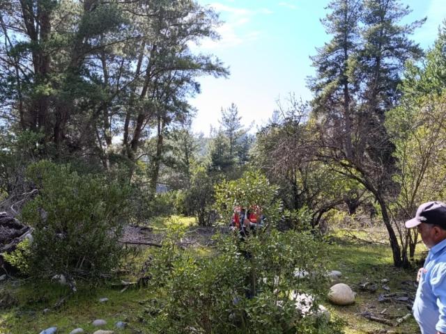 PARCELAS DE AGRADO DE 5.000M2