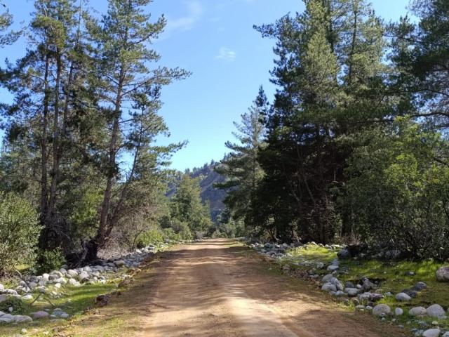 PARCELAS DE AGRADO DE 5.000M2