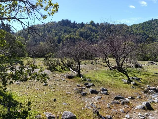 PARCELAS DE AGRADO DE 5.000M2