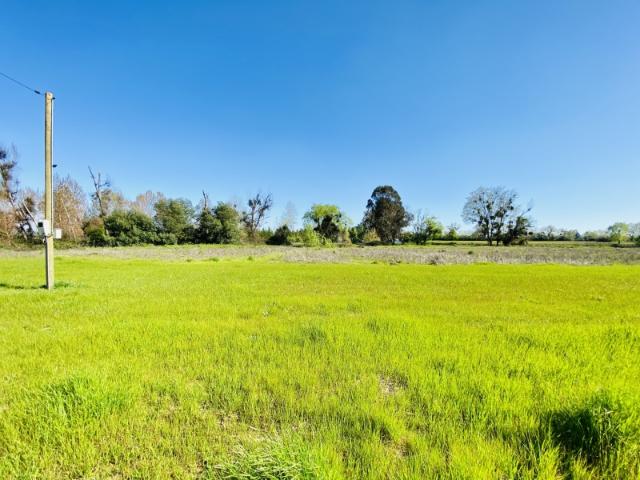 PARCELAS DE AGRADO RESERVA LOS BATROS