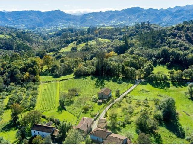Local Comercial en venta en Nava, Asturias