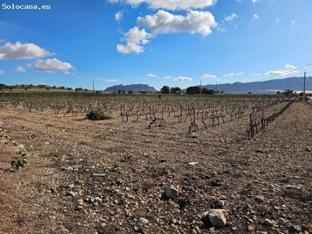 Local Comercial en venta en Cecilia Bartolomé (Mujeres Libres), l'Alt Vinalopó / El Alto Vinalopó