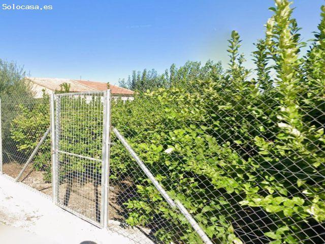 Local Comercial en venta en Los Pedriñanes, Área Metropolitana de Murcia
