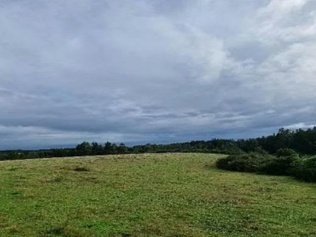 Terreno en venta en Tranicura, Tirúa