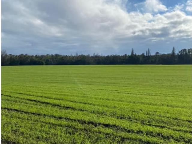 Terreno en venta en Mulchén, Biobío