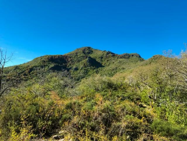 Terreno en venta en Quilleco, Provincia de Bío-Bío