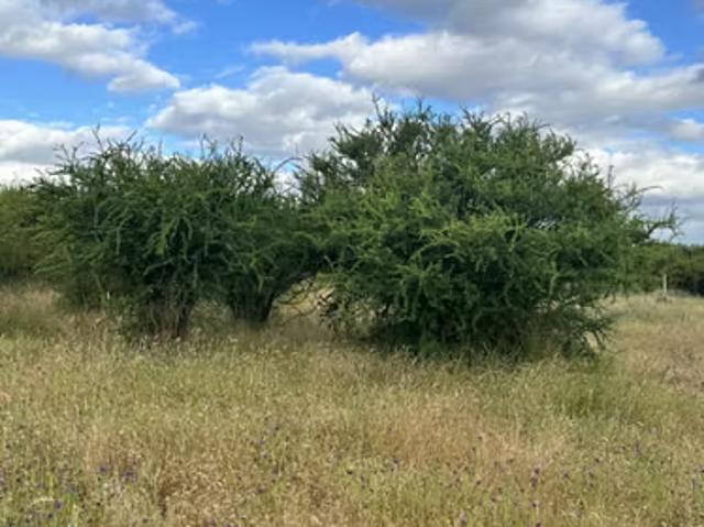Terreno en venta en San Javier, Maule