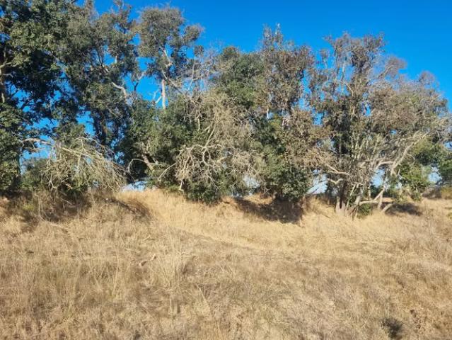 Terreno en venta en Santo Domingo, Provincia de San Antonio