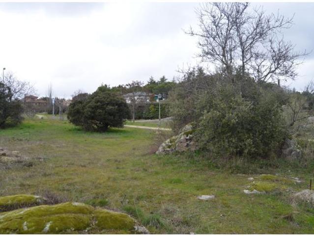 Local Comercial en venta en Colmenarejo, Madrid