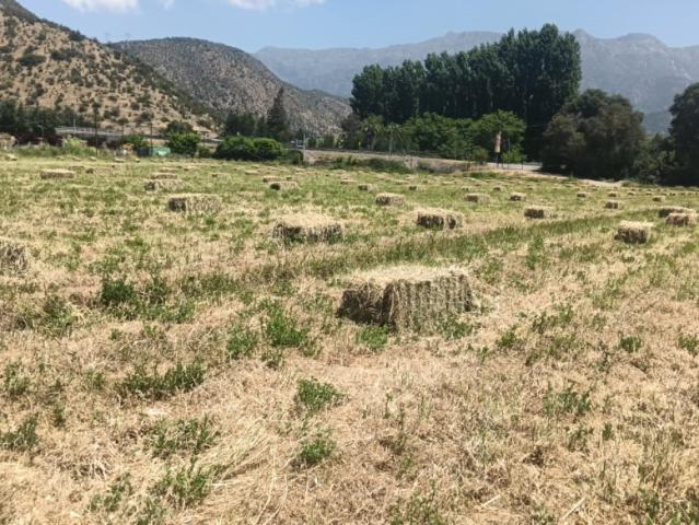 PARCELAS EN VENTA SAN FRANCISCO DE MOSTAZAL 5.000 M²
