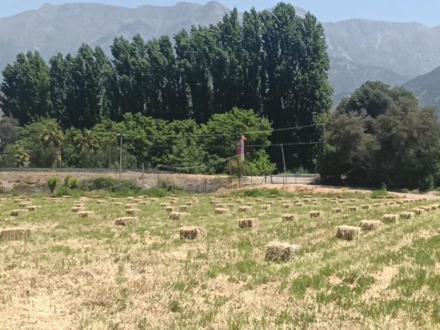 PARCELAS EN VENTA SAN FRANCISCO DE MOSTAZAL 5.000 M²