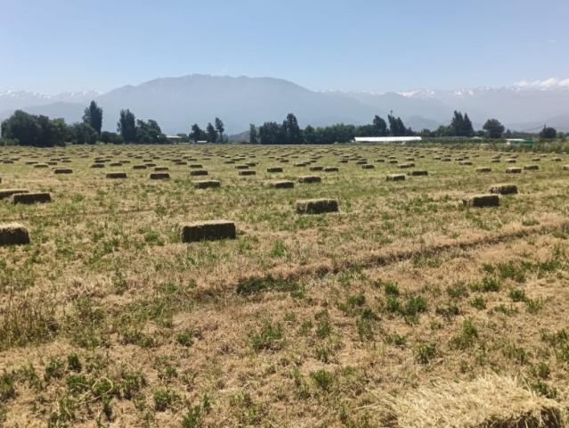 PARCELAS EN VENTA SAN FRANCISCO DE MOSTAZAL 5.000 M²