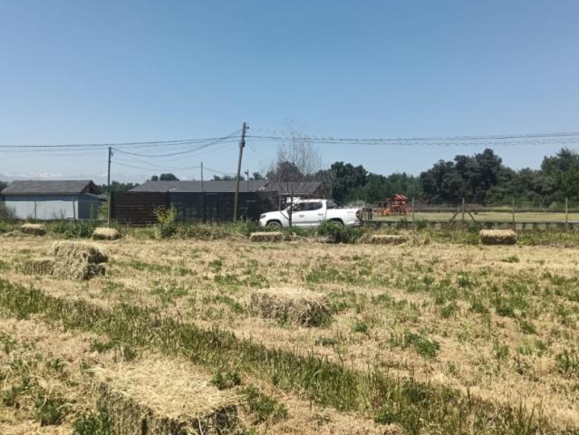 PARCELAS EN VENTA SAN FRANCISCO DE MOSTAZAL 5.000 M²
