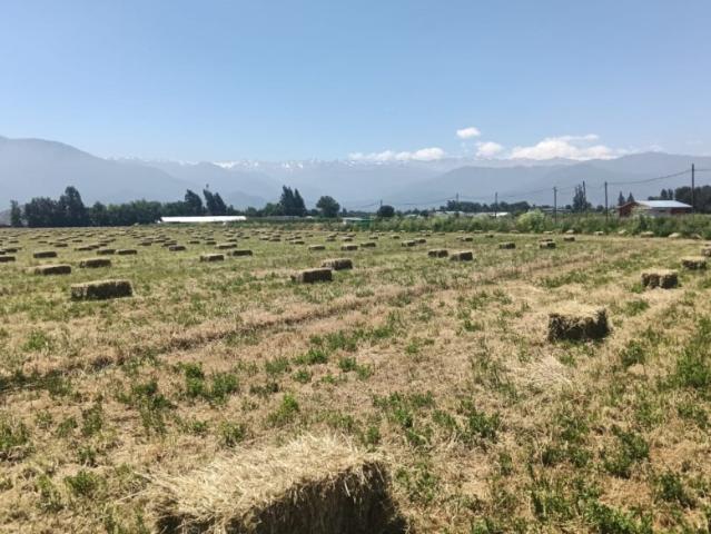 PARCELAS EN VENTA SAN FRANCISCO DE MOSTAZAL 5.000 M²