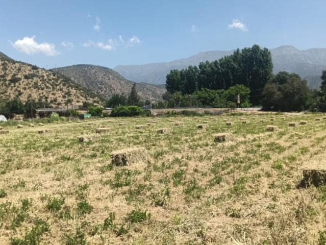 PARCELAS EN VENTA SAN FRANCISCO DE MOSTAZAL 5.000 M²