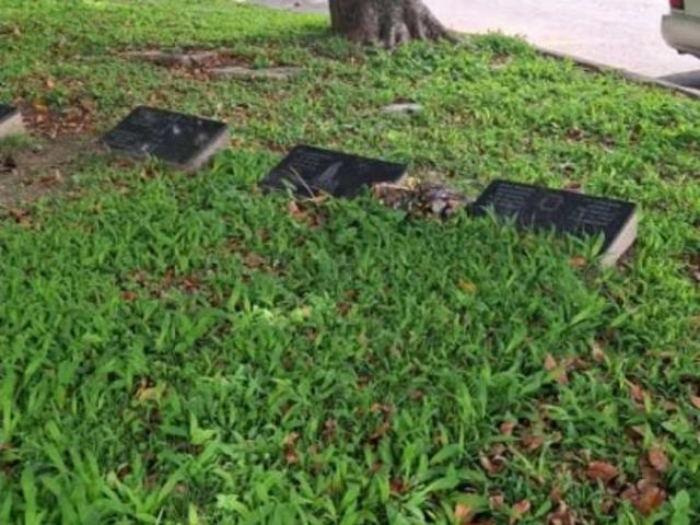 Terreno en venta en Boca De Uchire, Miranda
