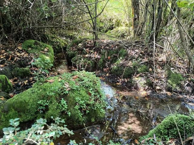 Terreno en venta en Los Álamos, Biobío