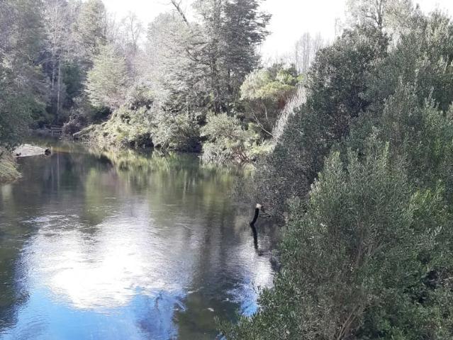 Terreno en venta en Los Álamos, Biobío