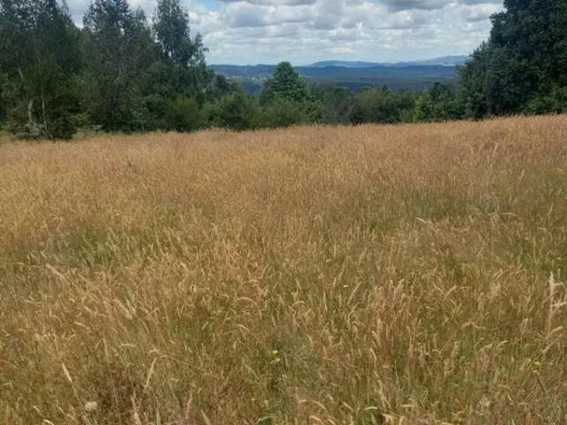 Terreno en venta en Los Álamos, Biobío